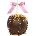 Gourmet Dunked Dark Chocolate Caramel Apple w/ Spring Sprinkles